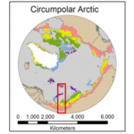 Arctic Permafrost Transects
